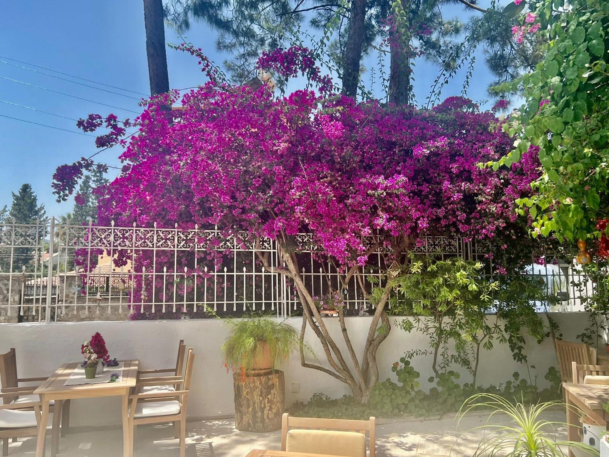 Carikci Hotel Marmaris Eksteriør bilde